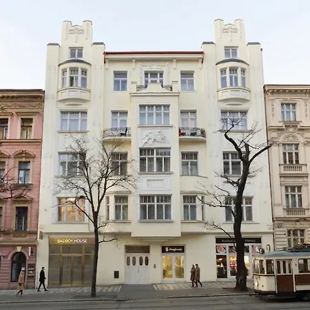Chic Flat On Jecna Walk To Wenceslas Sq And Museum Apartmán *